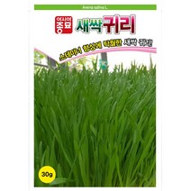 아시아종묘 귀리씨앗 새싹귀리씨앗(30g)