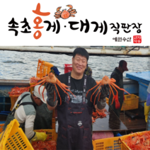 [속초 산지직송] 예원수산 제철홍게 생물 자숙(찜) 라면용 실속형 정품형 박달형 홍게택배, 1박스, 자숙 실속형 3kg(9-10미)