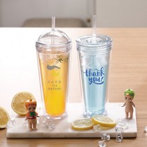 국산 주문제작 슬림아이스 텀블러 500ml DD-09906, 플랫