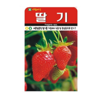 딸기 씨앗, 2개