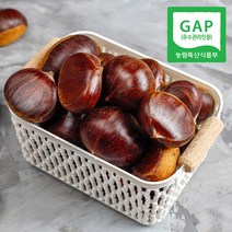 [GAP인증] 산지직송 충남 공주 정안 알밤 2kg(특), 단품