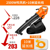 미세먼지 집진기 송풍 이동식 유선 실외 무선 블로워 휴대용 송풍기 이파리 충전식 쓰레기 야외, 3000W 일반 헤어드라이어 + 10m 라인