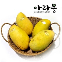 아라몰 필리핀 카라바오 망고 (Philippines Carabao Mango), 10개입, 2kg(200g)