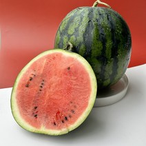 수박 고당도수박 하우스수박 맛있는수박 꿀수박 10kg, 1개