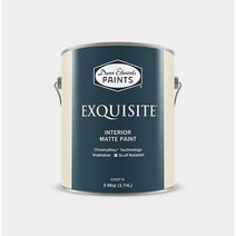 던에드워드 익스퀴짓 4L 무광페인트 고강도 오염방지 세라믹 스크래치 방지 친환경 수성, 익스퀴짓 무광1G/A(약3.78L)