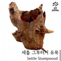 세틀 그루터기 유목S 새우 구피 열대어 은신처 어항꾸미기