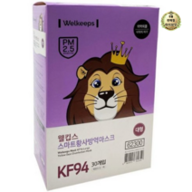 KF94 웰킵스 황사 방역 마스크 30개입 대형, 1세트