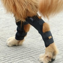강아지 슬개골 무릎 보호대 애완 동물 무릎 패드 다리 패드 개 골절 다리 부상 수술 고정 지원 보호 슬리브 골든 리트리버 대형 개 보호 장비, 검은색 M-미디엄