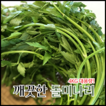 국내산 나주 하우스 세척 돌미나리 500g / 4Kg, 세척 돌미나리 4KG