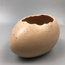 계란찜 인플루언서 타조 알껍질 디저트 그릇 접시, 황색