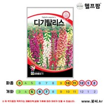 헬프팜 디기탈리스 1000립 꽃씨 종자 씨앗 세계종묘