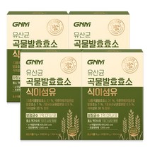 GNM 유산균 곡물발효효소 식이섬유 / 아밀라아제 프로테아제 프로바이오틱스, 90g, 4개