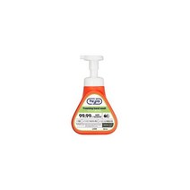 하이지아 핸드워시 페퍼민트 385ml 용기 라이온코리아 거품형 HYGIA 펌프 285ML 라이온코리아 LION 라이온, 하이지아 핸드워시 페퍼민트 385