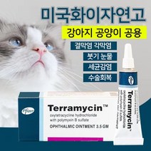 미국수입 Terramycin 반려동물 눈염증연고 강아지 결막염 눈물개선/눈건강 5통구입제한 C-0352, 2개, 3.5g