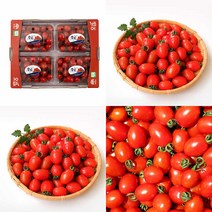 대추 방울토마토 3KG 2번 대추토마토 토마토효능 토망고