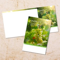 교회주보 예배 주보용지 3단6면 주보지 안내지 전도지 절기 부활절 추수감사 맥추감사 성탄절 신년감사 디자인 기독교용품, EW-12