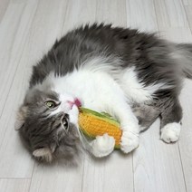 [고양이캣닢브러쉬장난감] 스펜서 백퍼 캣닢쿠션 고양이 장난감, 옥수수