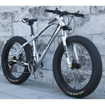 산악 MTB 자전거 광폭타이어 팻바이크 30단 자출용 자전거, 27단(공구포함), 20인치, 실버