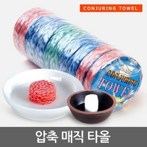 매직행주 압축타올 일회용 코인 건티슈 요술행주 10개, 압축매직타올, 흰색