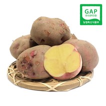 속노란 하동 자색유황감자 (왕특) 1.8kg 외 / 홍감자 2022년 가을수확 감자, 1박스