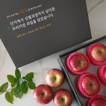 [품질선별] 꿀당도 소양강 부사 사과 선물세트 대과, 12-14과 사과벌크형 5kg
