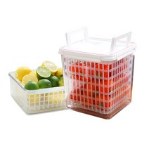 스카이락 인 바스켓 용기 야채보관용기 채반 채소보관용기 밀폐용기 캠핑용기 상추바구니, 선택01:스카이락 점보 인 바스켓 3호, 1개