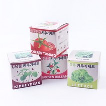 지피포트 키우기세트 봉선화 방울토마토 상추 강낭콩 반려식물 파릇파릇 키우기