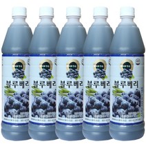 청솔 블루베리 음료베이스 835ml / 과일원액, 5개