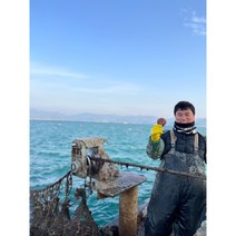 홍가리비(고성가리비) 자란만가리비 쪼이수산 산지직송, 10kg(4~6인)