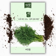 허브 딜씨앗 400립 허브씨앗, 1개