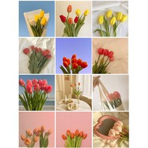 튤립 꽃 감성 스티커 무광 12set 다꾸 다이어리꾸미기 폰꾸미기 인스타이미지 스꾸