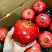 프리미엄 미국산 석류 생과 생석류 대과 2.5kg / 5kg