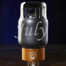 PSVANE KT88-TII 클래식 튜브 오디오 앰프 푸시-풀 CV5220 6550 및 기타 교체 가능, 01 1pcs