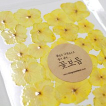 [바보사랑] 꽃보듬(압화)_수국(5컬러), 컬러:파랑, 상세 설명 참조