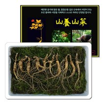 삼바이 산양산삼 10년근 선물세트 산삼 산양삼 장뇌삼 인삼 면역력 기력보강 설날 추석 설선물 설명절 추석선물 추석명절 명절선물, 10개
