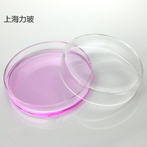 엑스마인드 실험 과학 검사 기구 배양 샬레 교구 학교, 100MM