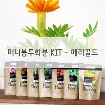 IXM237249방수화분 재배 미니 세트 키우기쉬운식물 메리골드 BUyuS, 단품