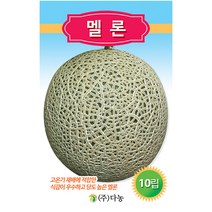 일성 백다다기 오이 씨앗 50립 - 흑침오이 반백오이 오이씨앗 야채씨앗 채소씨앗 채소재배 종묘 종자 베란다 텃밭 씨 씨앗 호박 방울토마, 21_다농_멜론(10립)