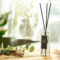 아로마컴퍼니 리필 디퓨저120ml, 레몬유칼립투스, 1개