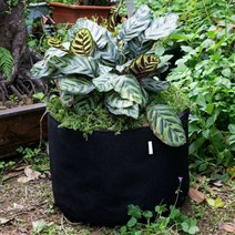 동그란부직포화분 그로우백 특대형 베란다텃밭 숨쉬는화분, 부직포화분