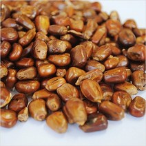 초록사랑 국내산 볶은옥수수 옥수수차, 1개, 1kg