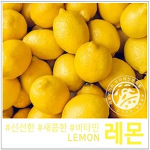고가유통 / 상큼한 신선 레몬 팬시레몬 칠레산 상큼한 레몬선물, 레몬1박스(15kg)