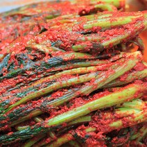 HJ 씹을 때마다 퍼지는 톡 쏘는 알싸한 돌산 갓김치, 1kg, 1개, 1kg