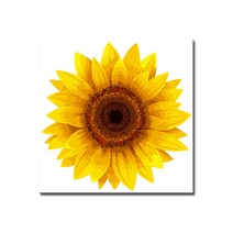 DIY캔버스페인팅 명화그리기 유화 세트 그림 액자, E29_옐로우썬