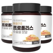 동결건조 프로폴리스 추출분말 100g 3통, 기타, 기타