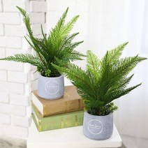 인조나무 인테리어 소품 봉쥬르 미니 조화화분, 06_솔향고사리 화분 2P