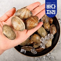 당일어획 남해안 다이버 자연산 바지락, 1kg(일반), 1개