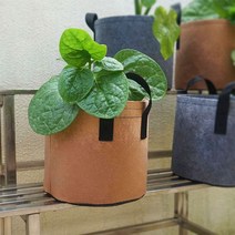 부직포 화분 베란다 텃밭 대파 키우기 5갤런 30x25베란다텃밭 대파키우기 집에서대파키우기 텃밭가꾸기 베란다텃밭화분 블루베리화분 플랜트화분 블루베리 플랜, 2화분5갤런-그레이