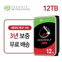 씨게이트 아이언울프 12TB 12테라 NAS HDD NAS용 하드디스크 데이터복구