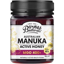 바네스 내츄럴스 Barnes Naturals Australian Manuka Honey 500g MGO 400＋